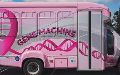 Pink Van