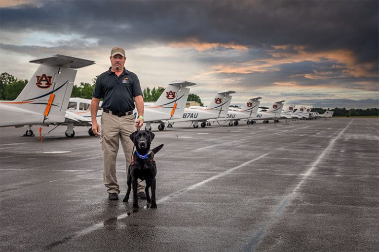 Black labrador with handler at airport