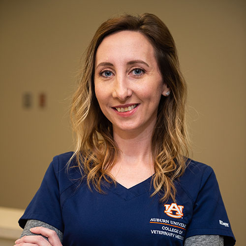 Sara N. Henson