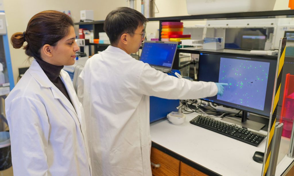 Two lab technicians looking at a computer monitor.